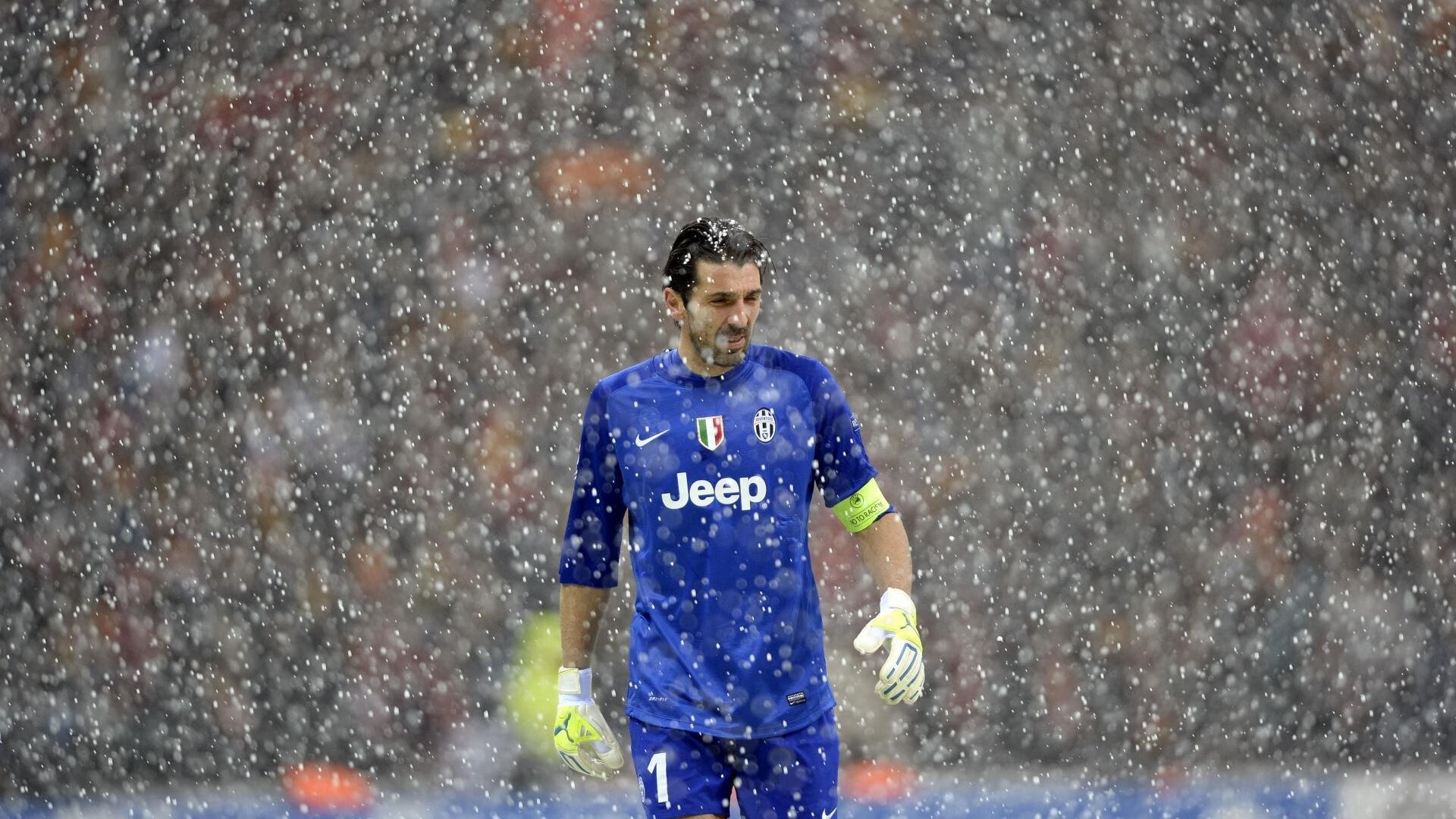 游泳、水球、跳水三项整体实力提升，游泳的跳水